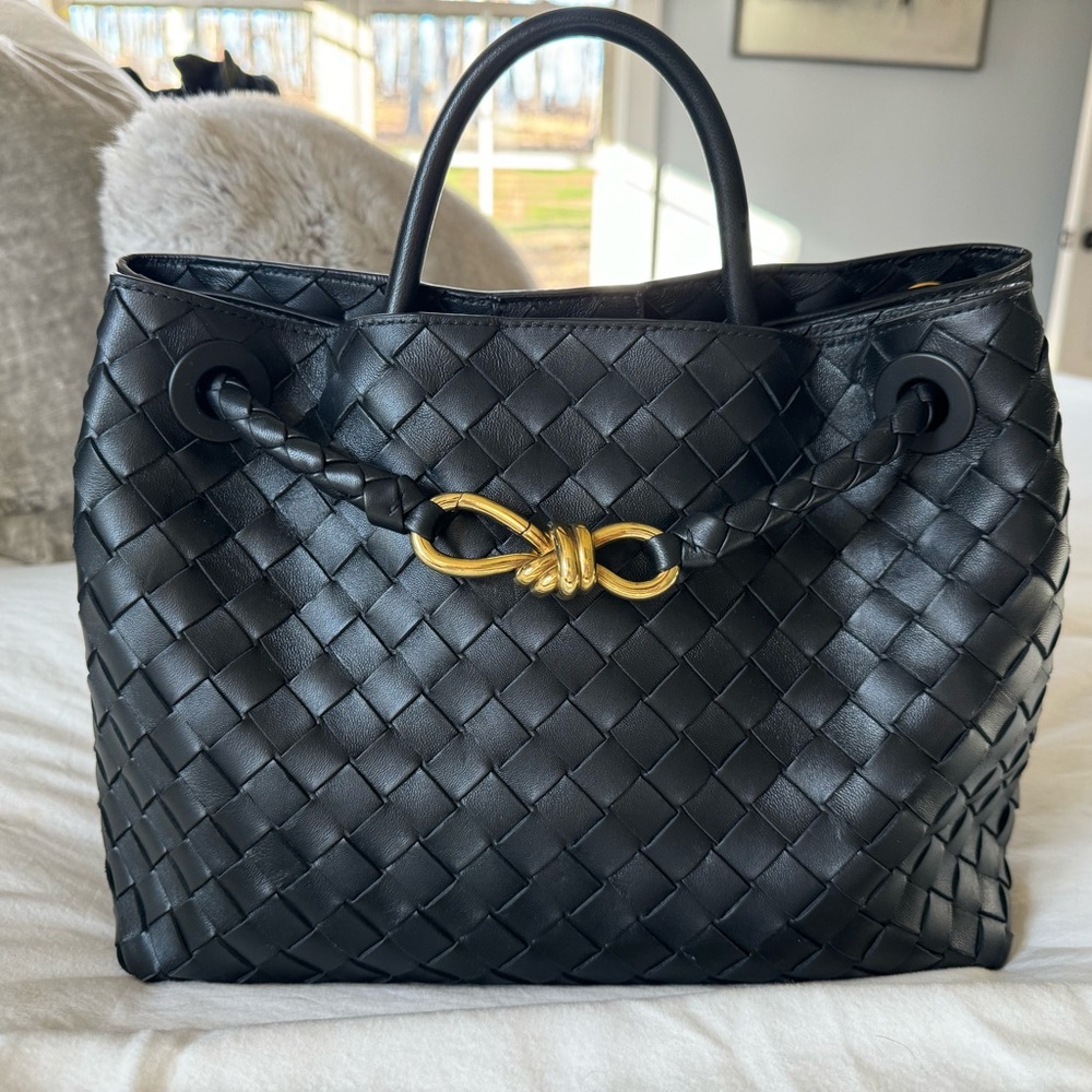 Bottega Veneta Andiamo Medium